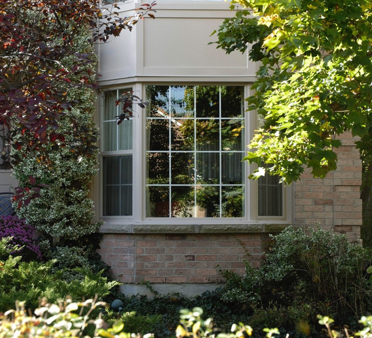 hung windows